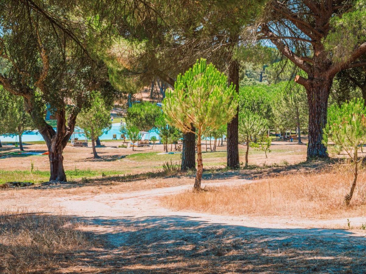 Chalet Do Lago モンタルジル エクステリア 写真