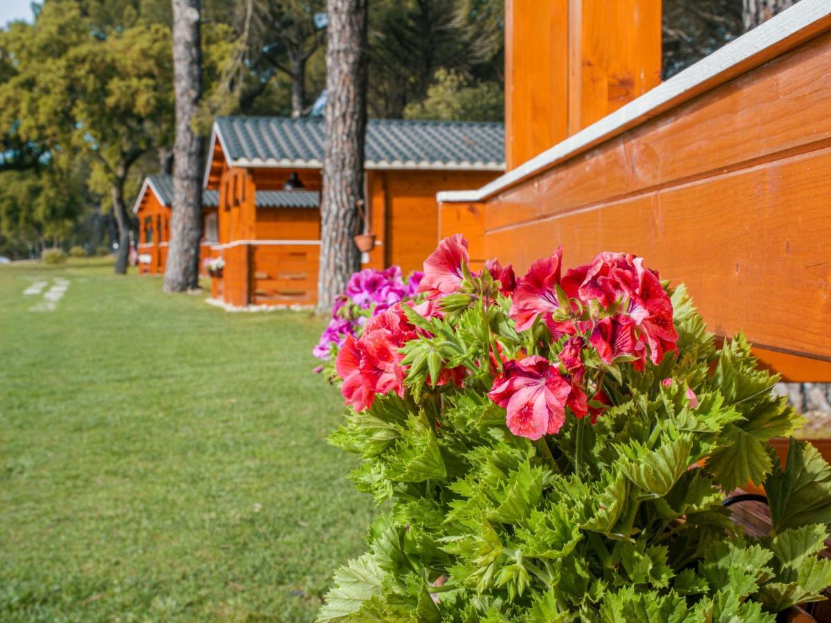 Chalet Do Lago モンタルジル エクステリア 写真